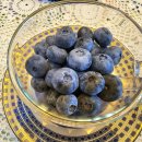 블루베리 앞 이미지