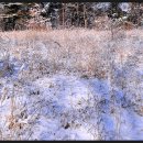 구구농장 이미지