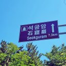 라라랜드 풀빌라 이미지