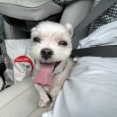 별비담캠핑장 이미지