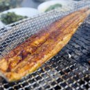 한강민물 이미지