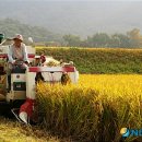 이기수농장 이미지