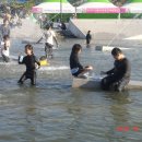 서울참새 이미지