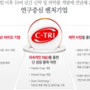 주식회사 씨트리 이미지