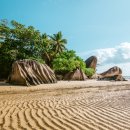 바다가 그리울때 이미지