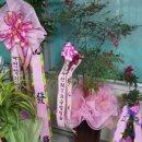 입석 명성식당