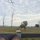 설현농장 | 블번워홀 D+123 | 무게라투어