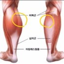 채널24시 이미지