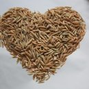 산동농협 4공단지점 이미지