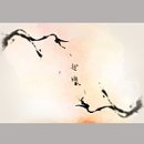 미호컴퍼니 이미지