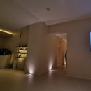 헤아림동물병원 | 2023년 10월 일상 기록(과도한 야근과 격무 또륵, 오랜만 폴댄스, 사랑하는 조카 생파, 이사준비, 책...