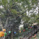 국보분식 | 뚜벅이 하동 구례 :: 구례 화엄사, 행운분식 사라다빵, 조단부부, 구례옥잠