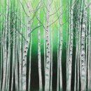 자작나무 이미지