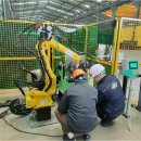 삼진비철 이미지