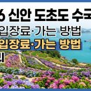 2026 신안 도초도 수국축제 일정·배편·입장료·가는 방법 총정리