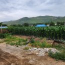 현내2리 이미지