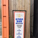 슬기로운 멍생활 이미지