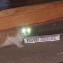 생활체육(의암)공원 이미지