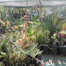 (주)정원팜 이미지