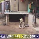 홈인테리어필름 네이버블로그