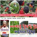 마이산골힐링팜