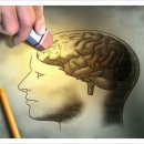 엘브레인 이미지