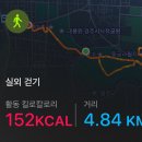 경주 1박 2일 여행코스 황리단길 분위기 깡패 맛집 공개합니다