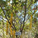 황산면사무소 이미지