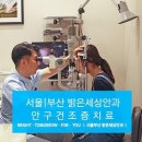 밝은세상 이미지