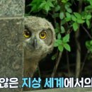 울림농장 TV리포트