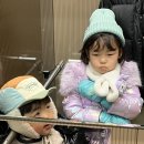 장성군 노인회관 | 설 연휴, 쇼핑(feat. 입학식 날 입기엔 추울 거야)