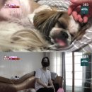 구강농장 이미지