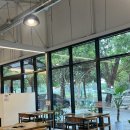 청주한우맛집 현지인이 추천하는 대도영지한우 청주역맛집 내돈내산