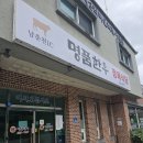 종자리로1 티스토리