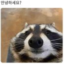 토지PC | 미혼 생애최초 보금자리론 타임라인 후기