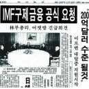 플루오린 이미지