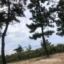 변산해수욕장 야영장