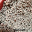 애동지에 드실 팥찰시루떡, 호박고지찰시루떡(23일까지) 이미지