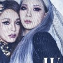 더블유씨엘 이미지