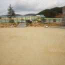 지품초등학교 Daum카페