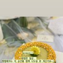 조은피드 이미지