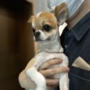 수원-0915 이미지