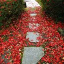 하얀세상 이미지