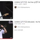 코앞으로 다가온 실리카겔 콘서트 기념) 공연 영상 10선