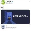 브랜드밈 이미지