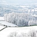 중기목장 이미지