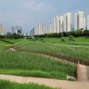 덕수목장 이미지