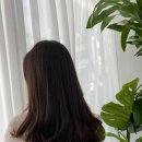 뉴김미용실