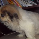 시흥농장 이미지