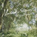 청년, Forest 이미지